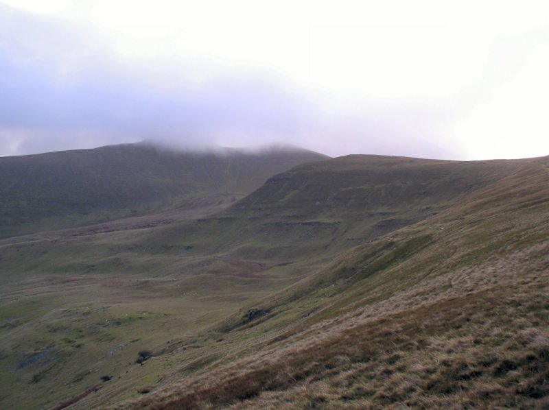 penyfancorndu.jpg